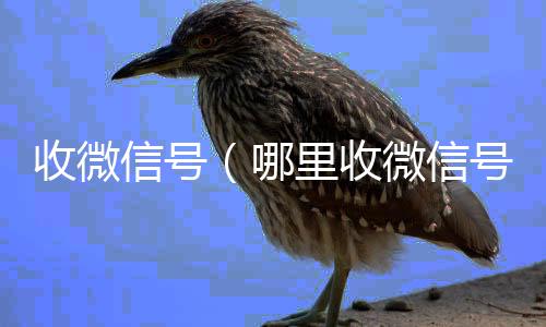 收微信号24小时vx回收平台（哪里收微信号）